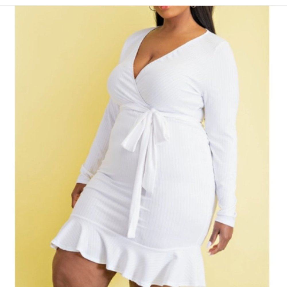 NWT White Long sleeves plus size V-Neck dress